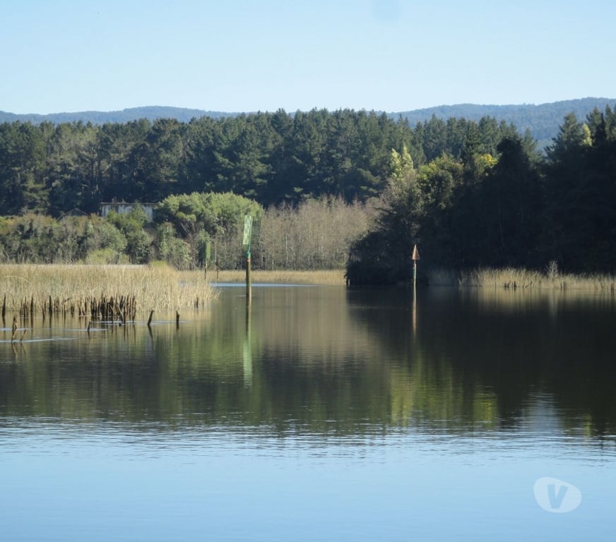 Venta de Haciendas Valdivia Valdivia - Fotos de Precioso Campo de 21 hectáraeas en Isla frente a Valdivia