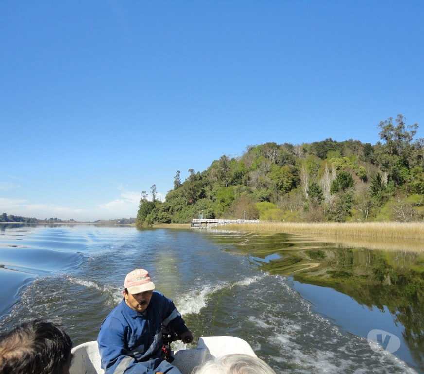 Venta de Haciendas Valdivia Valdivia - Fotos de Precioso Campo de 21 hectáraeas en Isla frente a Valdivia