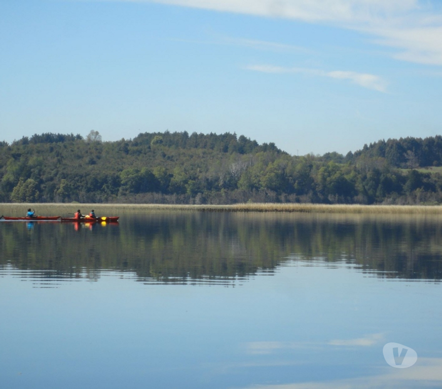 Venta de Haciendas Valdivia Valdivia - Fotos de Precioso Campo de 21 hectáraeas en Isla frente a Valdivia