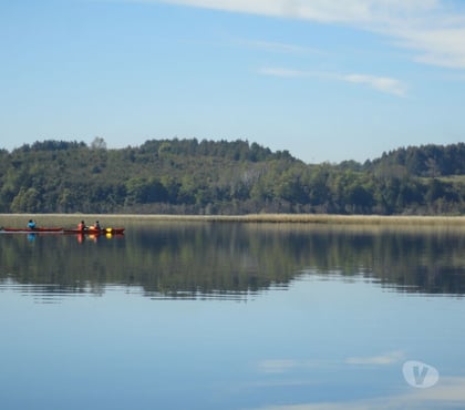 Venta de Haciendas Valdivia Valdivia - Fotos de Precioso Campo de 21 hectáraeas en Isla frente a Valdivia