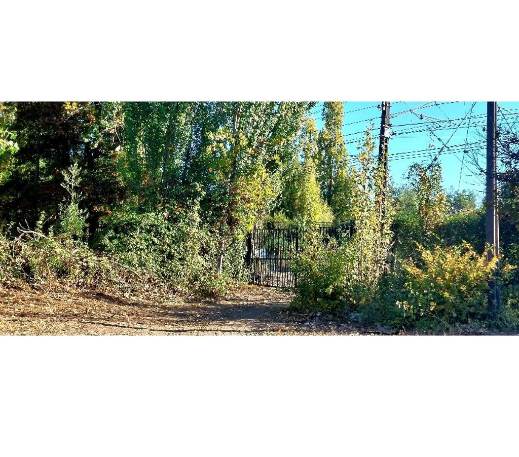 Parcelas en Venta Concepción Chiguayante - Fotos de Vendemos terreno La Leonera Vieja, 0,98 Ha. Chiguayante.