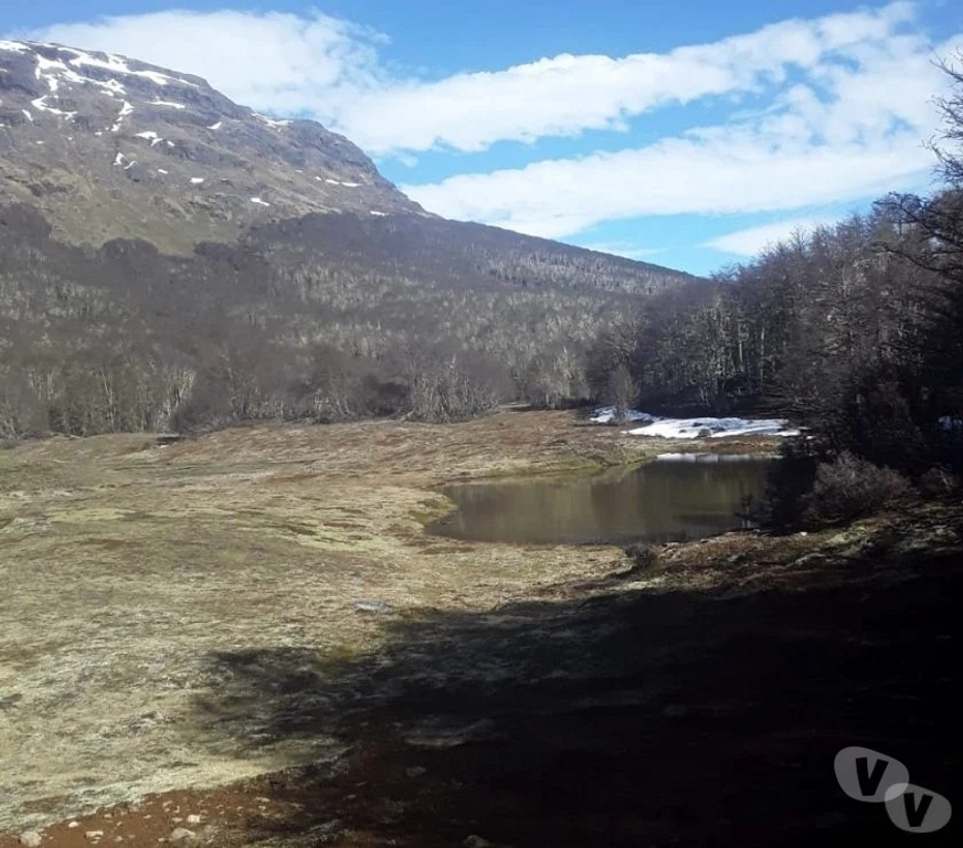 Venta de Haciendas General Carrera Chile Chico - Fotos de Campo de 295 hectareas Puerto Guadal Lago Gral Carrera-Aysen