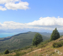 Campo de 295 hectareas Puerto Guadal Lago Gral Carrera-Aysen