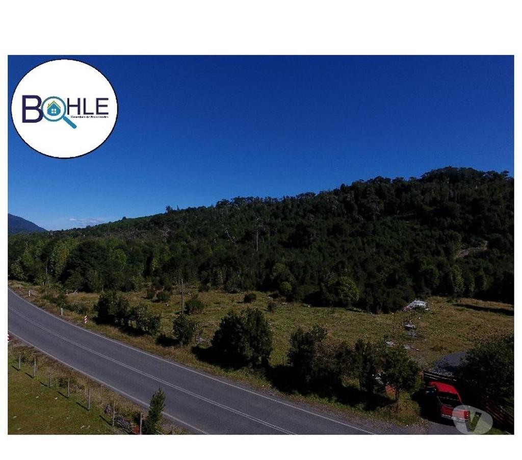 Venta de Haciendas Palena Hualaihué - Fotos de VENDO CAMPO DE 99.3 HÁ NE HUALAIHUE SECTOR QUILDACO ALTO