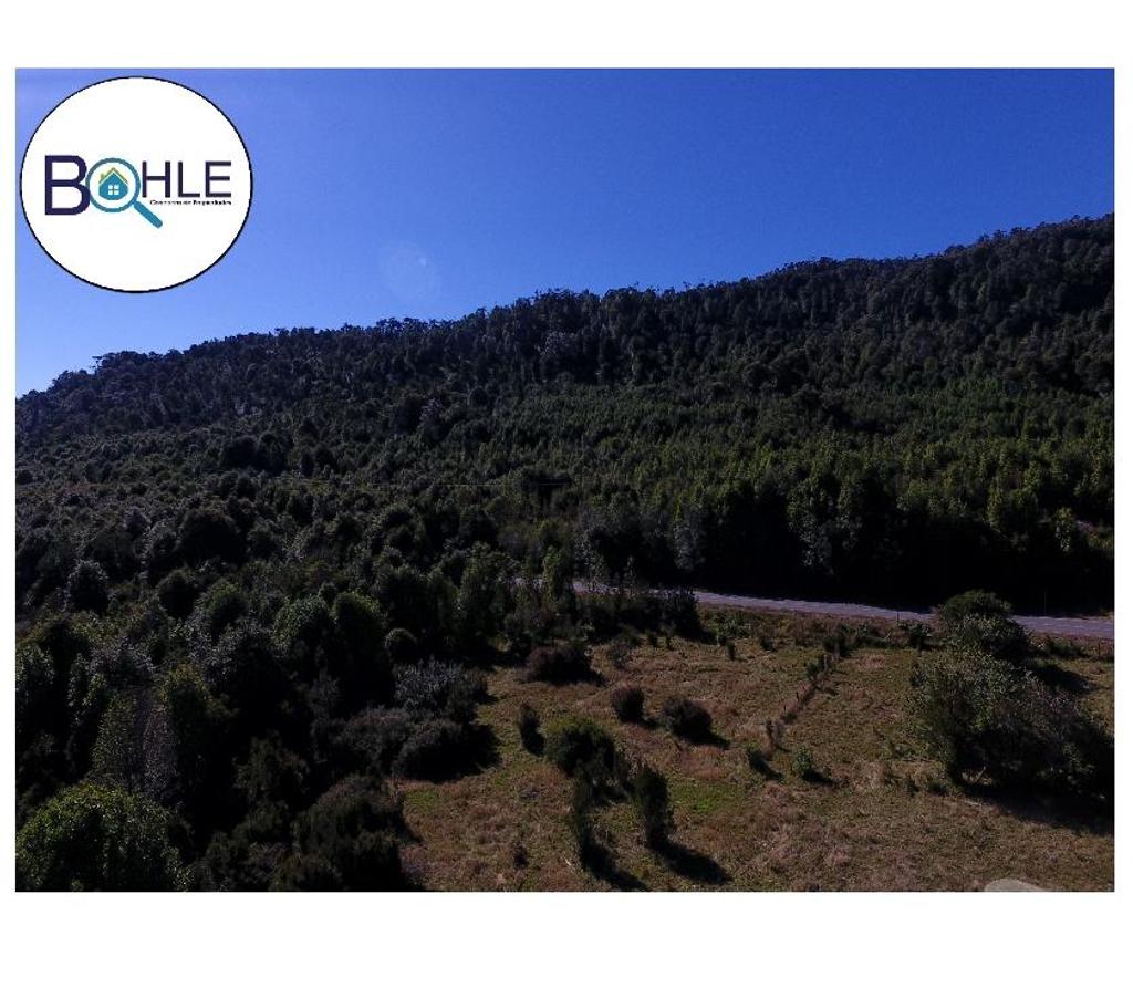 Venta de Haciendas Palena Hualaihué - Fotos de VENDO CAMPO DE 99.3 HÁ NE HUALAIHUE SECTOR QUILDACO ALTO