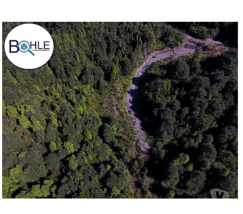 Venta de Haciendas Palena Hualaihué - Fotos de VENDO CAMPO DE 99.3 HÁ NE HUALAIHUE SECTOR QUILDACO ALTO