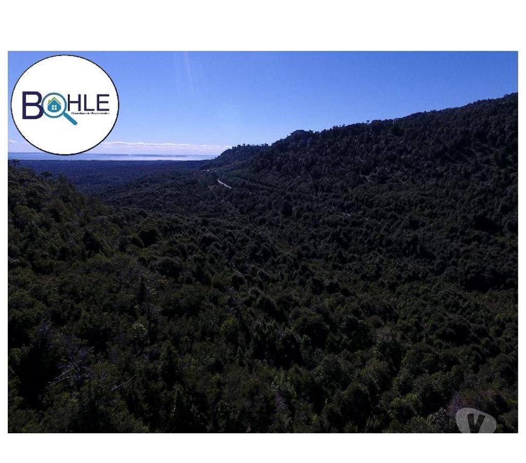 Venta de Haciendas Palena Hualaihué - Fotos de VENDO CAMPO DE 99.3 HÁ NE HUALAIHUE SECTOR QUILDACO ALTO