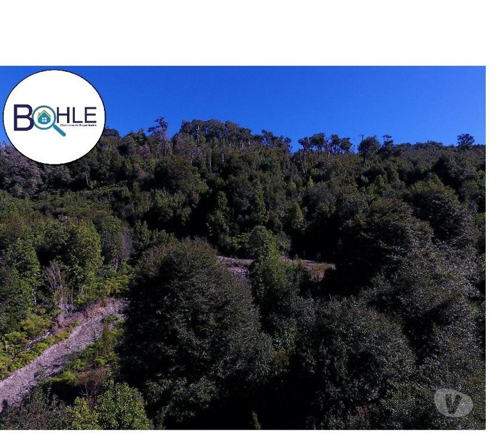 Venta de Haciendas Palena Hualaihué - Fotos de VENDO CAMPO DE 99.3 HÁ NE HUALAIHUE SECTOR QUILDACO ALTO