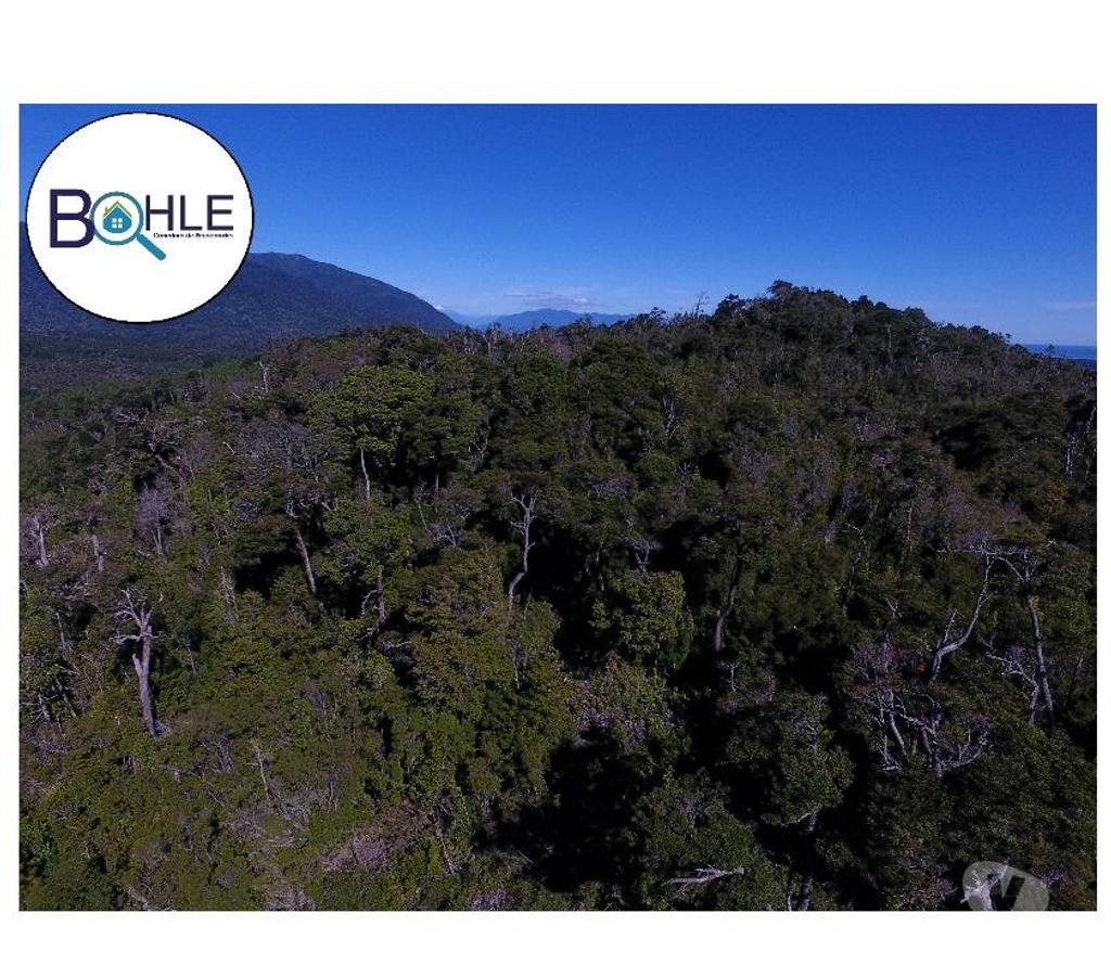 Venta de Haciendas Palena Hualaihué - Fotos de VENDO CAMPO DE 99.3 HÁ NE HUALAIHUE SECTOR QUILDACO ALTO