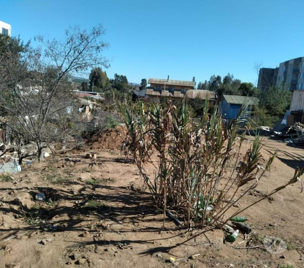Parcelas en Venta Valparaíso Villa Alemana - Fotos de Vende o arrienda terreno 1.189 m2 Villa Alemana