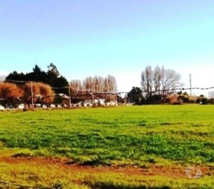 Terrenos en Venta Concepción Concepción - Fotos de HERMOSO TERRENO EN CARRIEL SUR - TAHUANO UF 400.000