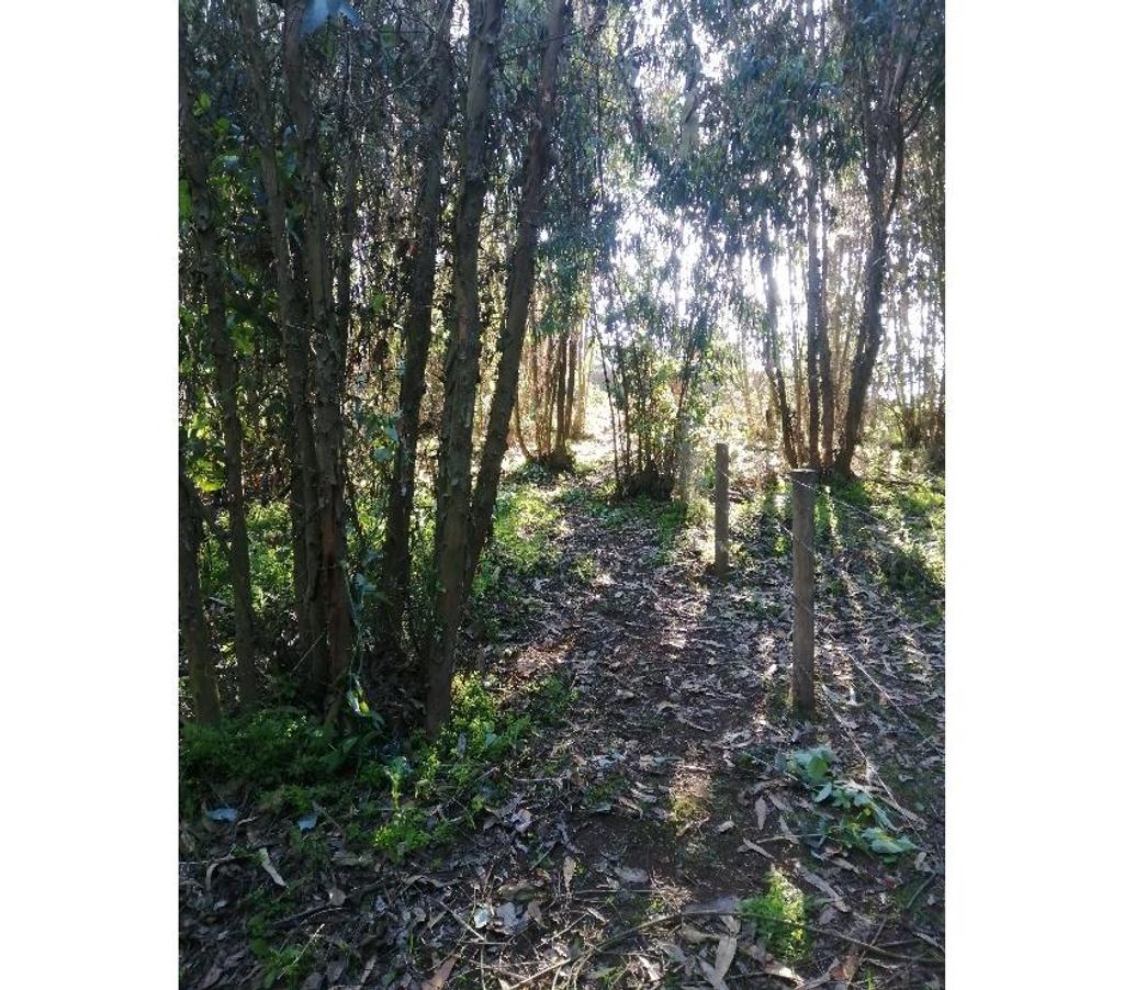 Parcelas en Venta Valparaíso Quintero - Fotos de Vendo maravillosa Parcela 5000 mtr 2 $77.500.000 agua-luz