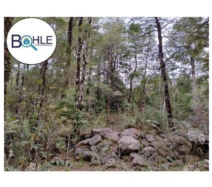 Parcelas en Venta Puerto Varas Llanquihue - Fotos de VENDO - Parcela de 4.252 m2 en Sector Cumbre Rio Pescado, Pt