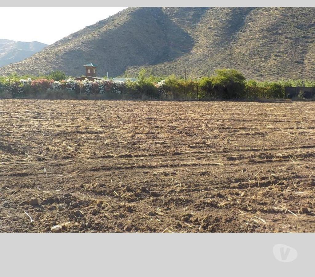 Parcelas en Venta San Felipe de Aconcagua San Felipe - Fotos de TERR. 8833 M2 100 NOGALES VENDO $ 380 MIL MENSUALES PUTAENDO