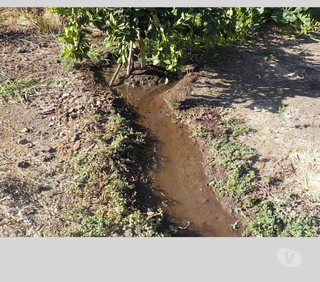 Parcelas en Venta San Felipe de Aconcagua San Felipe - Fotos de TERR. 8833 M2 100 NOGALES VENDO $ 380 MIL MENSUALES PUTAENDO