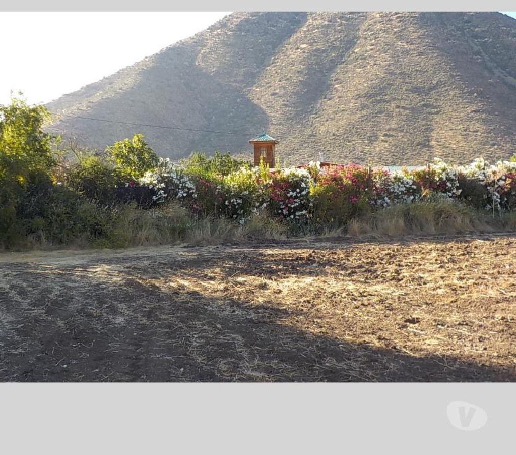 Parcelas en Venta San Felipe de Aconcagua San Felipe - Fotos de TERR. 8833 M2 100 NOGALES VENDO $ 380 MIL MENSUALES PUTAENDO