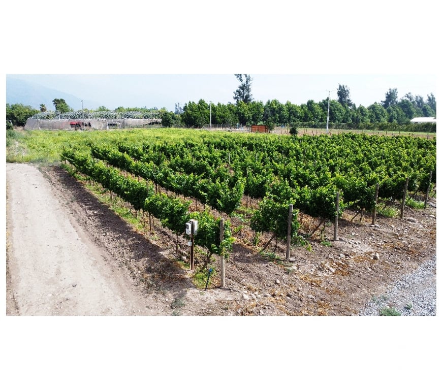 Parcelas en Venta San Felipe de Aconcagua Panquehue - Fotos de PARCELA EN PANQUEHUE