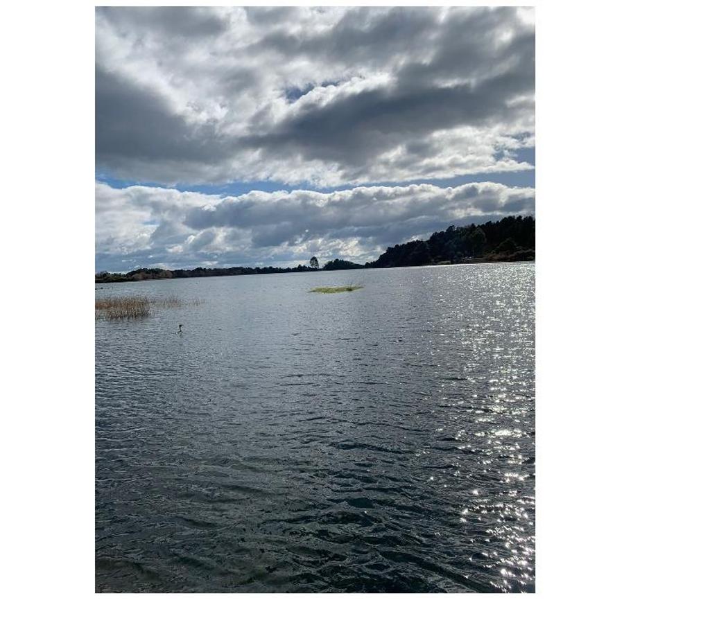 Parcelas en Venta Llanquihue Puerto Varas - Fotos de Vendo Parcela a Orilla de Lago Llanquihue, Pto Rosales