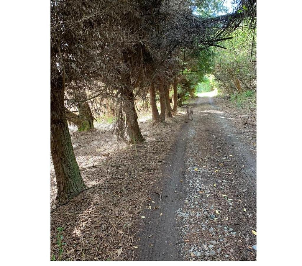 Parcelas en Venta Llanquihue Puerto Varas - Fotos de Vendo Parcela a Orilla de Lago Llanquihue, Pto Rosales