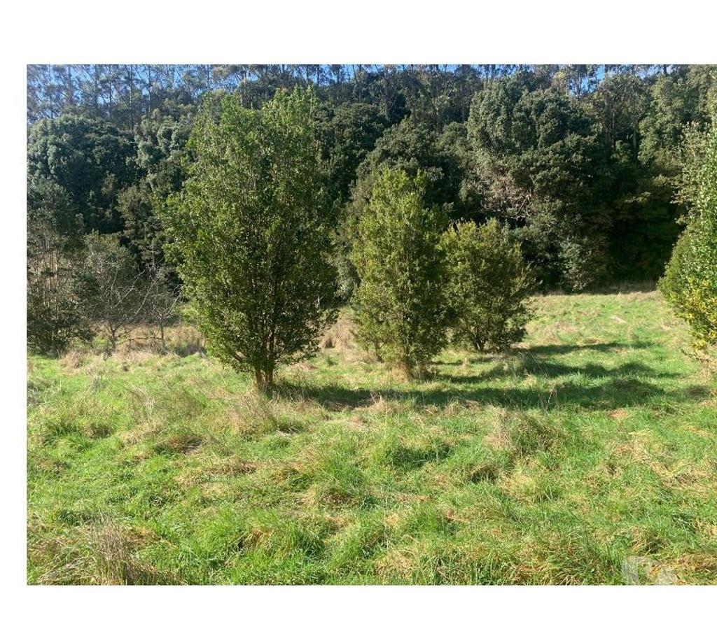 Parcelas en Venta Llanquihue Puerto Varas - Fotos de Vendo Parcela a Orilla de Lago Llanquihue, Pto Rosales