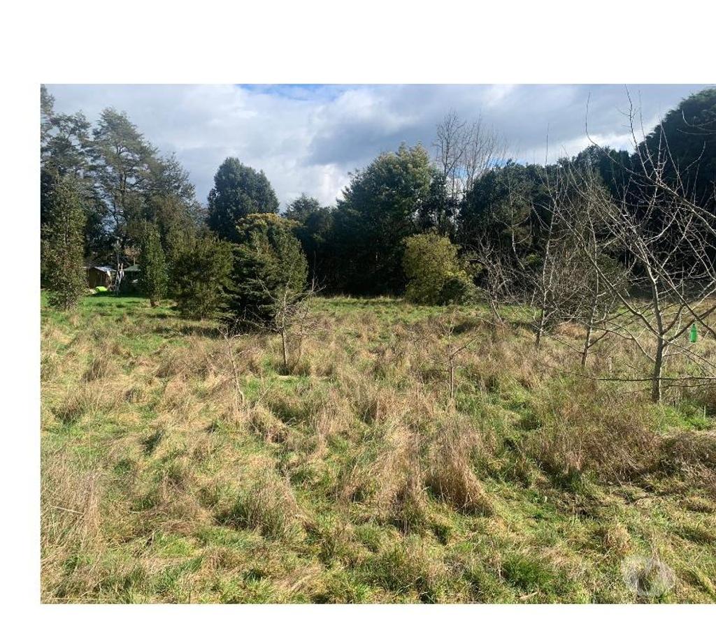 Parcelas en Venta Llanquihue Puerto Varas - Fotos de Vendo Parcela a Orilla de Lago Llanquihue, Pto Rosales
