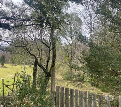 Terrenos en Venta Villarrica Cautín - Fotos de Vendo parcela de 8.000mts2 en las cercanías de VENDIDA