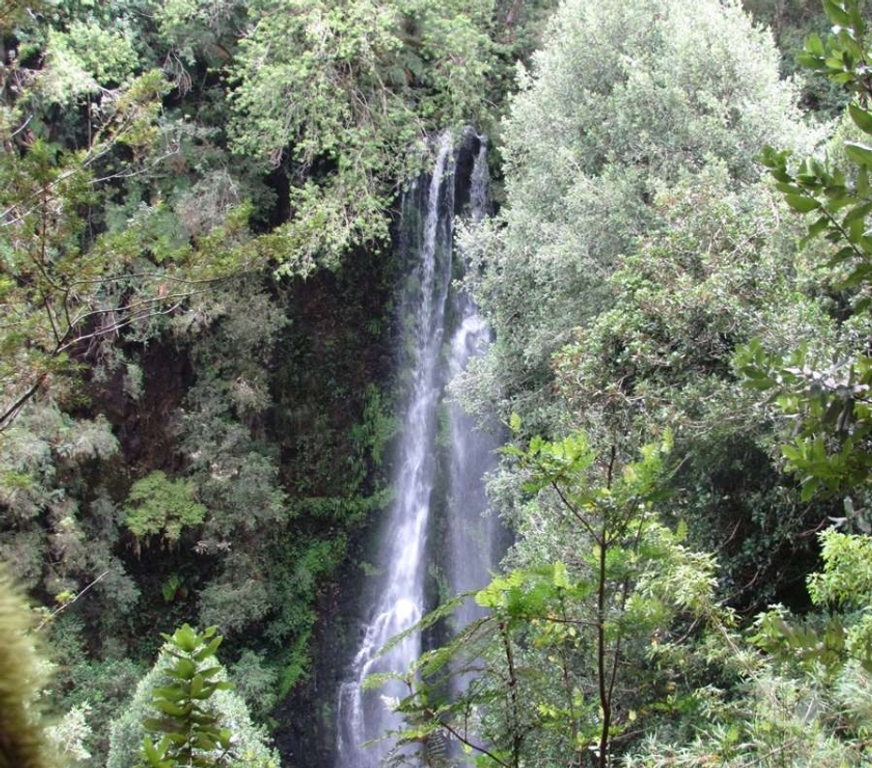 Venta de Haciendas Ranco Lago Ranco - Fotos de Espectacular Campo de 1.010 hás en Lago Ranco-Bosque Nativo
