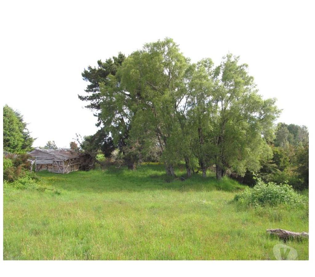 Venta de Haciendas Llanquihue Los Muermos - Fotos de Campo 60 Hectáreas...
