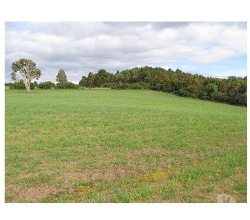 Venta de Haciendas Llanquihue Los Muermos - Fotos de Campo 60 Hectáreas...