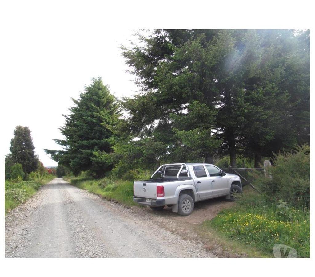 Venta de Haciendas Llanquihue Los Muermos - Fotos de Campo 60 Hectáreas...