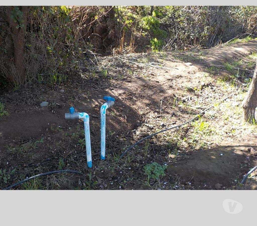 Parcelas en Venta San Felipe de Aconcagua San Felipe - Fotos de SAN FELIPE VENDO 12000 M2 CON 1000 ALMENDROS $ 160 MILLONES
