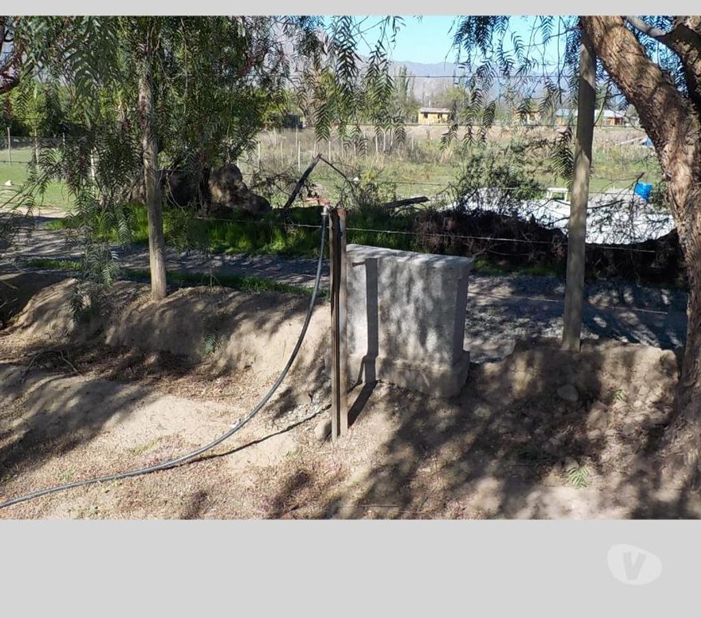 Parcelas en Venta San Felipe de Aconcagua San Felipe - Fotos de SAN FELIPE VENDO 12000 M2 CON 1000 ALMENDROS $ 160 MILLONES