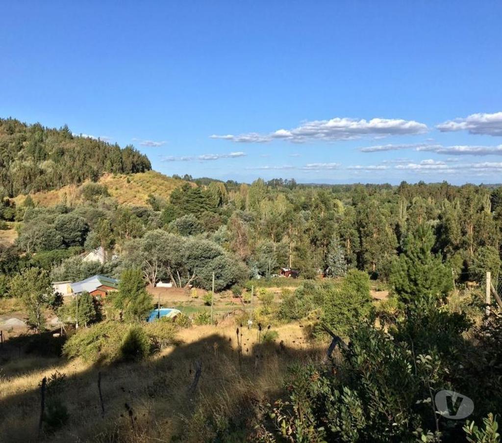 Parcelas en Venta Ñuble Quillón - Fotos de Se Vende Parcela 9.900 mts en Villa Palermo, Quillón