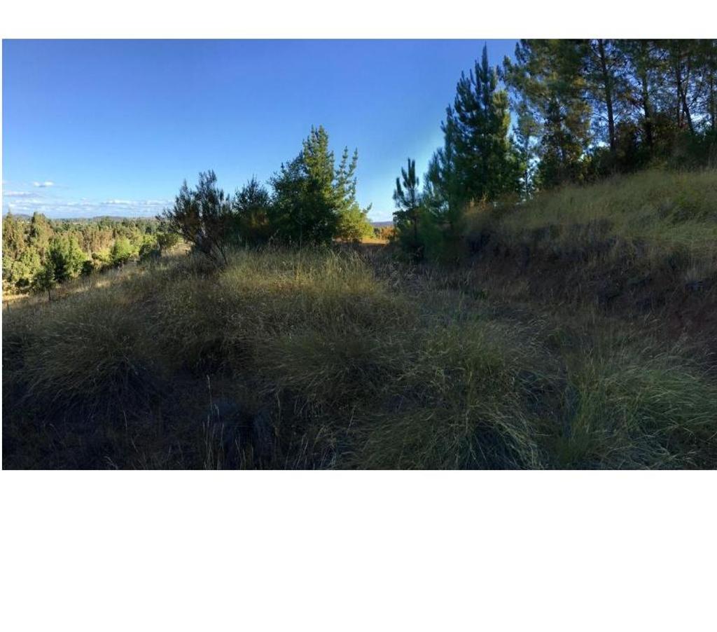 Parcelas en Venta Ñuble Quillón - Fotos de Se Vende Parcela 9.900 mts en Villa Palermo, Quillón