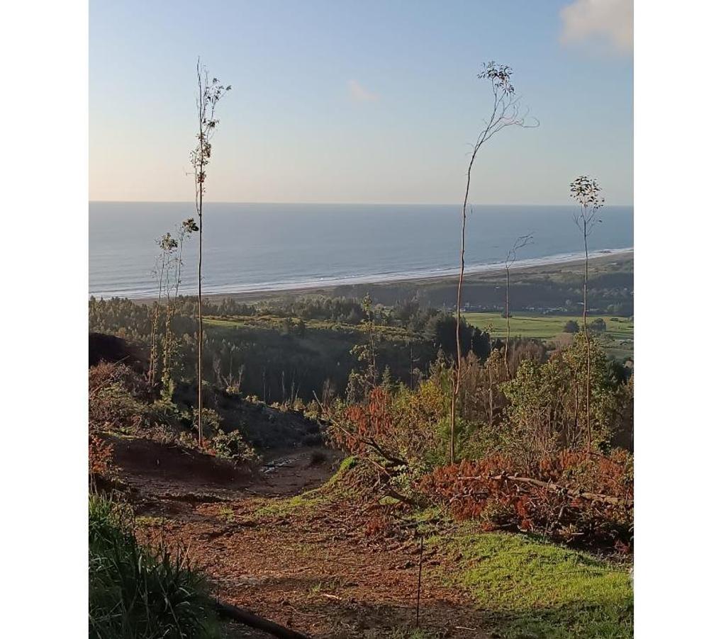 Parcelas en Venta Ñuble Cobquecura - Fotos de OLAS DE BUCHUPUREO