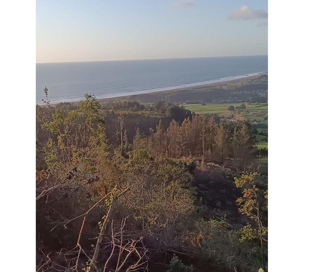 Parcelas en Venta Ñuble Cobquecura - Fotos de OLAS DE BUCHUPUREO