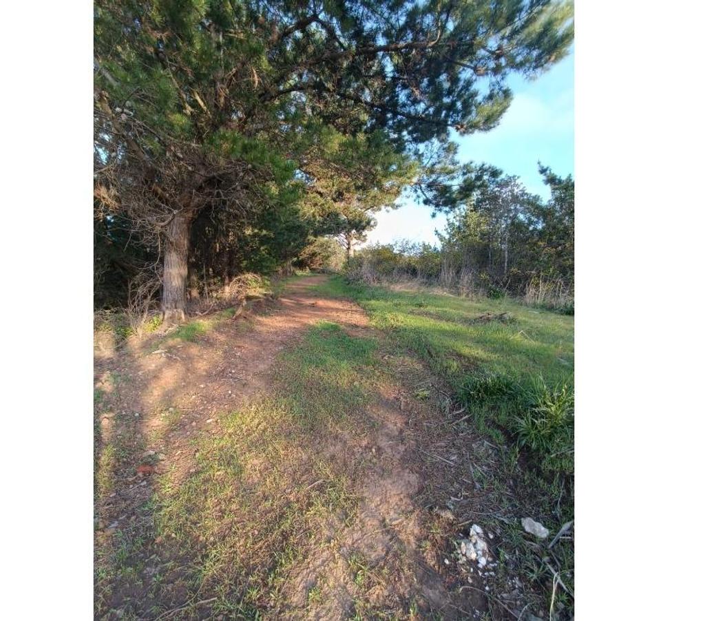 Parcelas en Venta Ñuble Cobquecura - Fotos de OLAS DE BUCHUPUREO