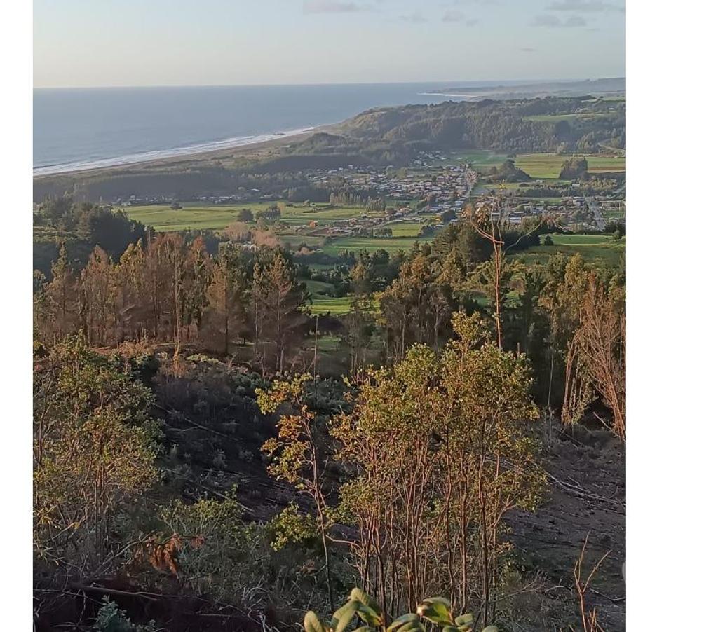 Parcelas en Venta Ñuble Cobquecura - Fotos de OLAS DE BUCHUPUREO