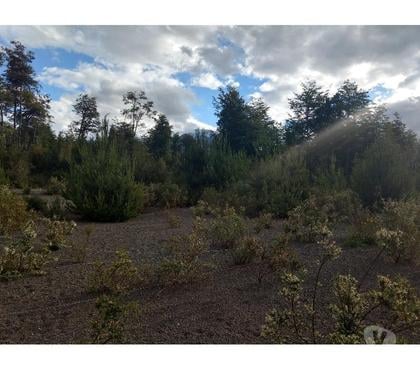 Terrenos Puerto Varas Llanquihue - Fotos de Vende 2 lindas parcelas en Ensenada, Puerto Varas