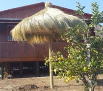 Instalacion de Totora Rustica y Coiron