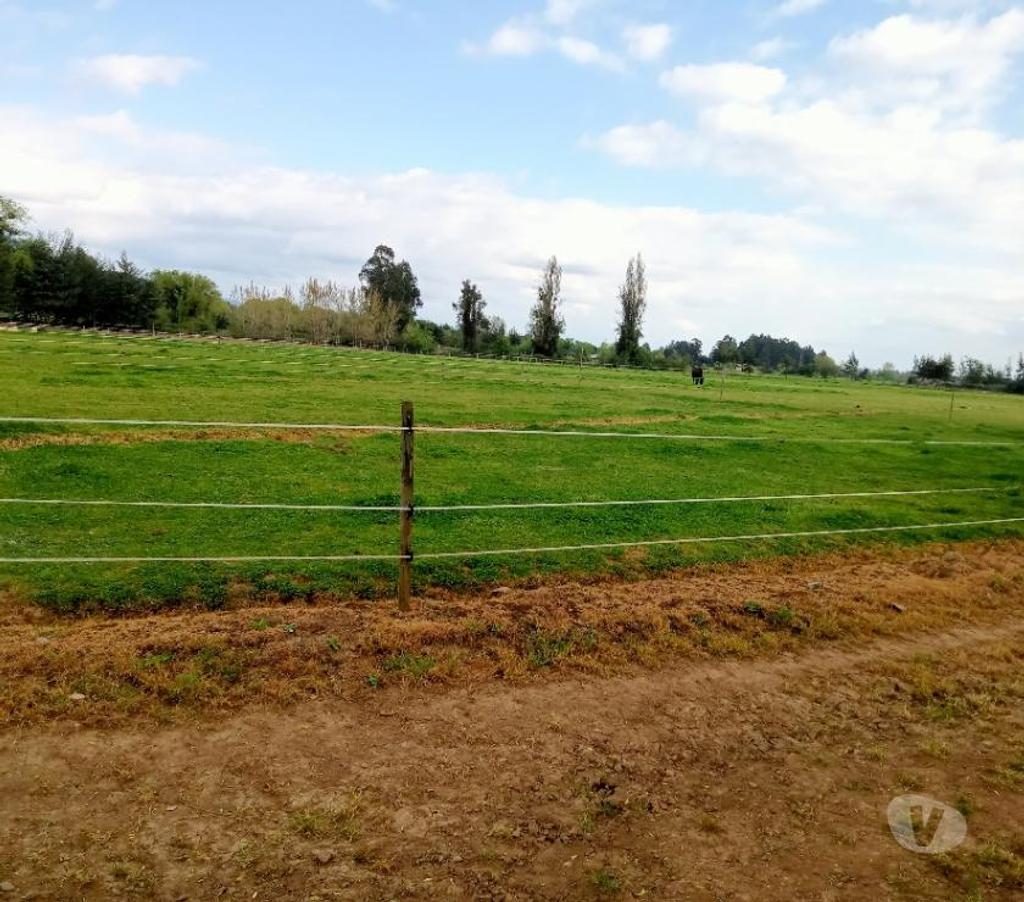 Parcelas en Venta Linares Longav - Fotos de Parc. 5.41 has. Planas. Agric.de Riego. Luz y Agua Pot