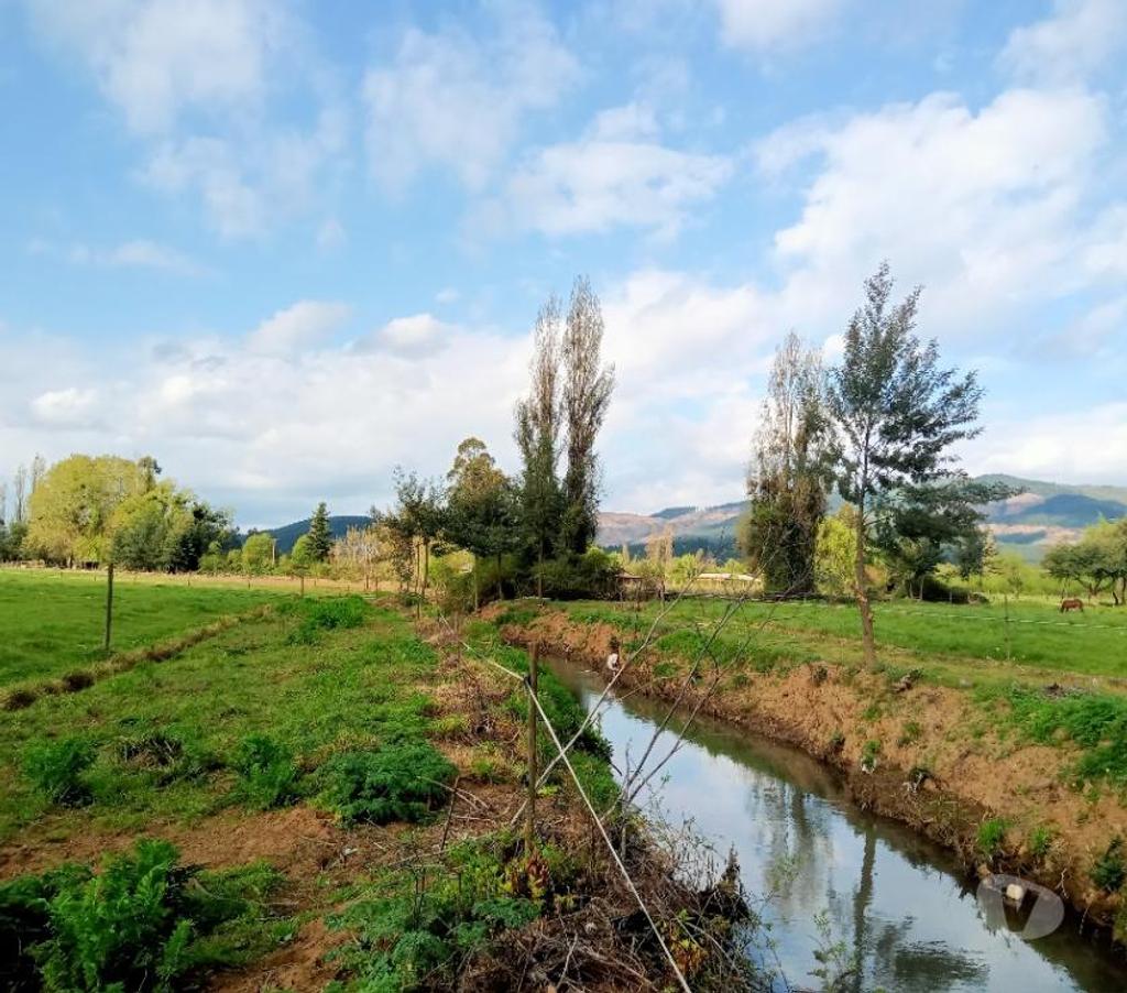 Parcelas en Venta Linares Longav - Fotos de Parc. 5.41 has. Planas. Agric.de Riego. Luz y Agua Pot