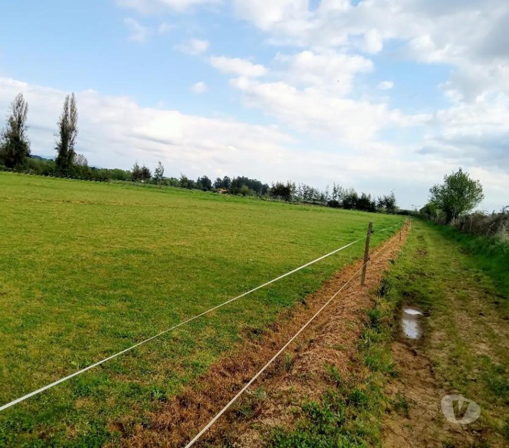 Parcelas en Venta Linares Longav - Fotos de Parc. 5.41 has. Planas. Agric.de Riego. Luz y Agua Pot