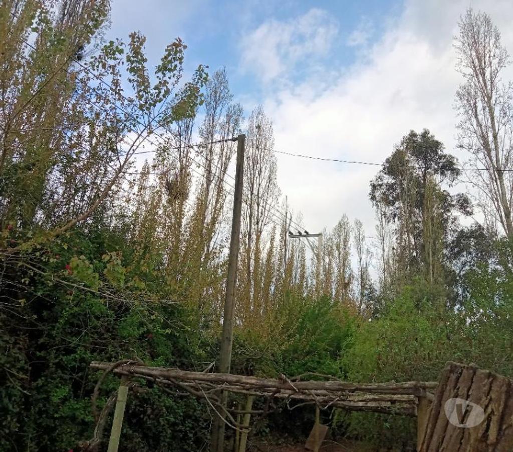 Parcelas en Venta Linares Longav - Fotos de Parc. 5.41 has. Planas. Agric.de Riego. Luz y Agua Pot