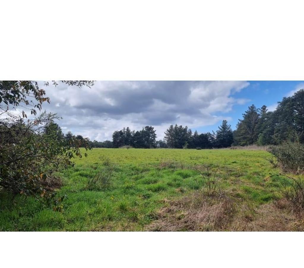Parcelas en Venta Llanquihue Puerto Montt - Fotos de Parcelas Disponibles en Sector Las Lomas, Camino al Tepual