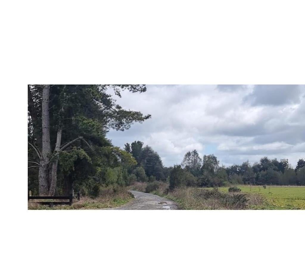 Parcelas en Venta Llanquihue Puerto Montt - Fotos de Parcelas Disponibles en Sector Las Lomas, Camino al Tepual