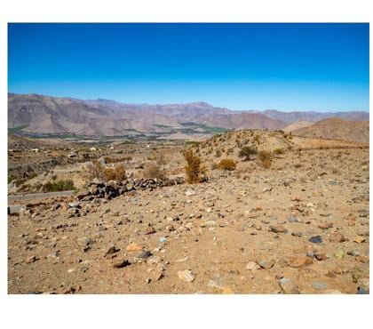 Terrenos en Venta Vicuña Elqui - Fotos de Gran parcela en sector Mamalluca (Vicuña), 11.000 m2