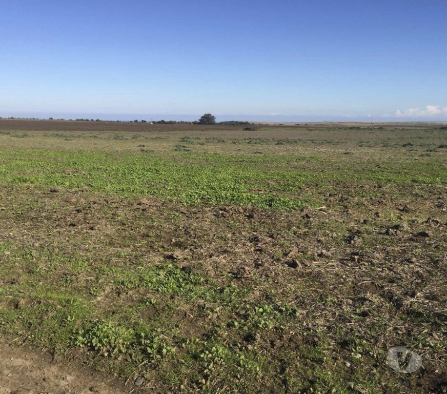 Venta de Haciendas San Antonio Santo Domingo - Fotos de Extraordinario Campo de 2280 Has costero en Santo Domingo