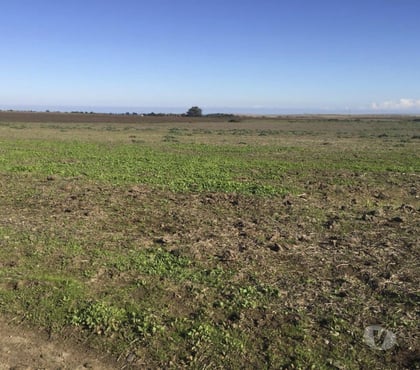 Venta de Haciendas Santo Domingo San Antonio - Fotos de Extraordinario Campo de 2280 Has costero en Santo Domingo
