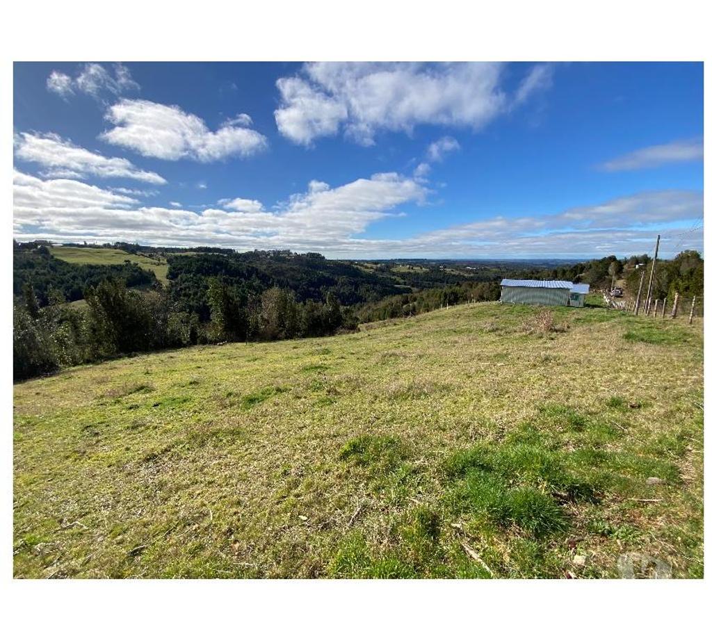 Venta de Haciendas Llanquihue Fresia - Fotos de Campo El Mañío 6,8hectáreas Región De Los Lagos